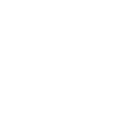 Networking & Community